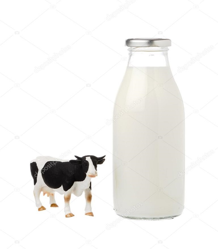 Hello own firm fresh cow milk
